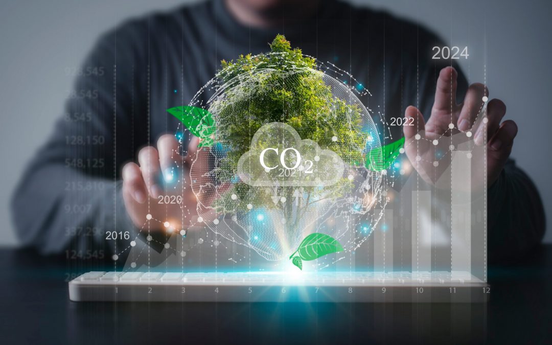 Next steps for our future development